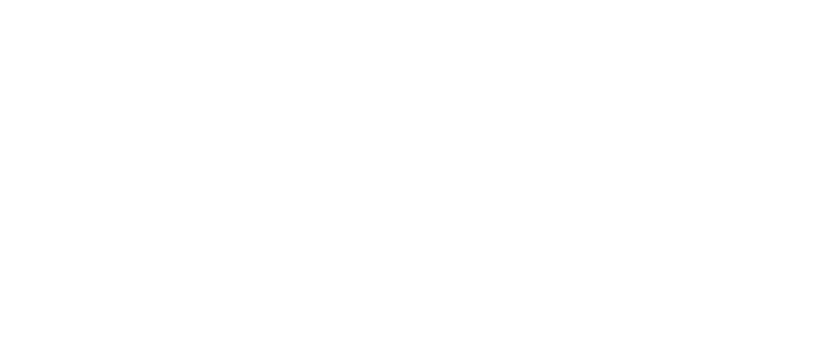 ProOpt International